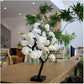 🎁2026 Nieuw binnen 50% KORTING💥Forever Rose Tree Lamp