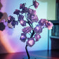 🎁2026 Nieuw binnen 50% KORTING💥Forever Rose Tree Lamp