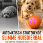 Automatisch Stuiterende Slimme Huisdierbal