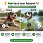 🔥🎁Nieuw 50% KORTING🔥🏆🐶 Koelvest voor honden