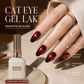 🔥🔥Nieuw binnen 50% KORTING🎁Glanzende Cat Eye gel nagellak