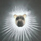 🎁2026 Nieuw binnen 50% KORTING💥3D Dieren LED Wandlamp - Zeearend & Nachtuil
