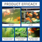 Fish Tank Water Krachtige Cleane