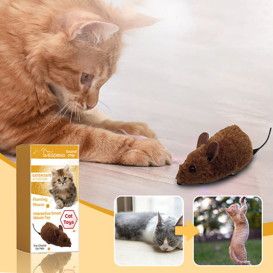💥Koop 1 krijg 1 gratis💥Muisspeeltje voor honden en katten