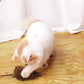 💥Koop 1 krijg 1 gratis💥Muisspeeltje voor honden en katten