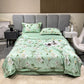 💥Uitverkoop 50% korting🌸Wasbare Koel Stof Ademende Zomerquilt 4-Delige Set