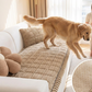 🔥Hete aanbieding!🛋️ Diervriendelijke bankkussens zijn nu verkrijgbaar! Antislip, krasbestendig en ultrazacht – leg ze neer en ontspan! ✨