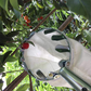 ⏳ Tijdelijke aanbieding⏳  🍎 Fruitplukker met opvangmand