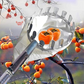 ⏳ Tijdelijke aanbieding⏳  🍎 Fruitplukker met opvangmand