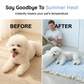 🌞Fris De Lente In Met 50% Korting!🐾Verkoelende Huisdierenmat met Kussen – Ademend Zomerbed voor Kleine Honden en Katten