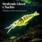 🔥🎁 2+1 GRATIS!!🎣 Lichtgevende Minnow-hardkunstaas – Nachtvisaas 🌙✨