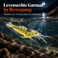 🔥🎁 2+1 GRATIS!!🎣 Lichtgevende Minnow-hardkunstaas – Nachtvisaas 🌙✨