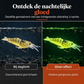 🔥🎁 2+1 GRATIS!!🎣 Lichtgevende Minnow-hardkunstaas – Nachtvisaas 🌙✨
